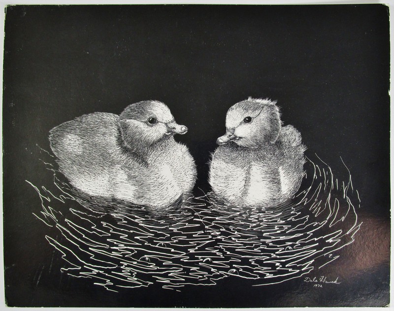 DALE HAUCK, Original Scratch Board Etching, Canada Goslings, Signed 1972