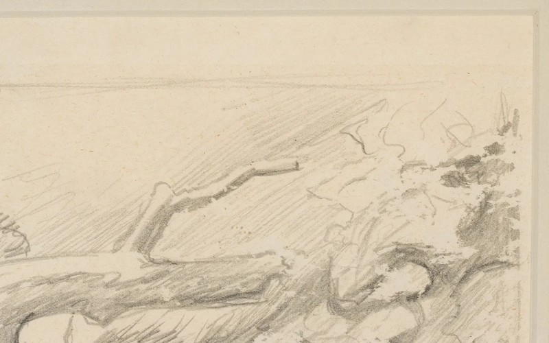 Thomas Hart Benton (1889-1975) Original Graphite Study Nature Scene w Toadstools gallery