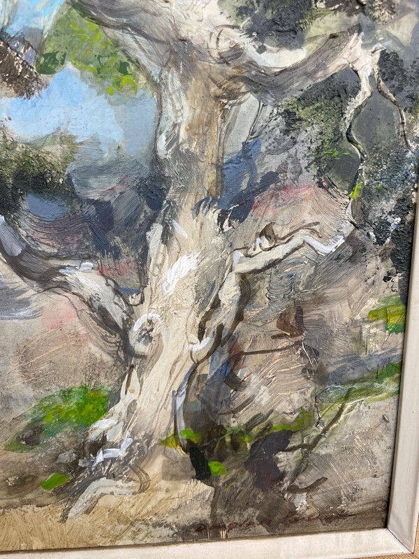 Douglass Parshall (1899 - 1990) Original Oil Painting "Live Oak and Mountain" gallery
