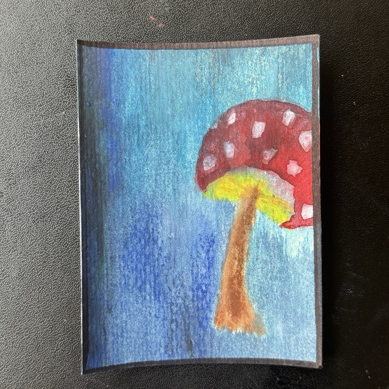 ACEO Original Painting – Mushroom – Mixed Media – by Chaotic Sanity | Sameera
