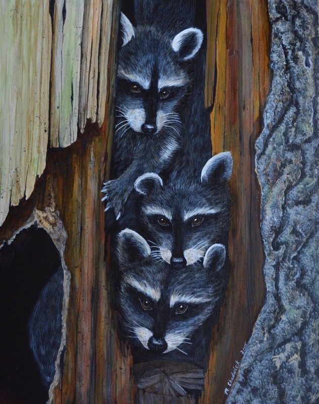 Raccoon Acrylic Painting On Gessobord, 16”x 20”
