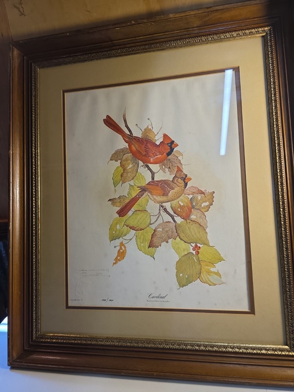 «Cardinal » Jim Oliver, Lithograph Print 545/750, Plate #7, See Pic Of Damage
