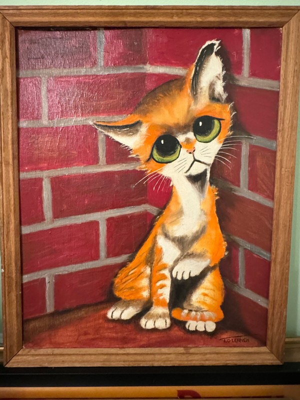 Wide eyed ,yellow slly cat art, painting on a canvas, framed 16 » x 20