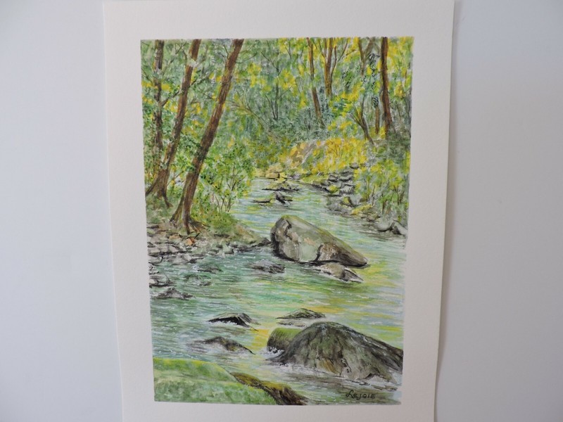 "Forest Stream", Original Watercolor Painting, 9x12 140 lb Canson Cold Press