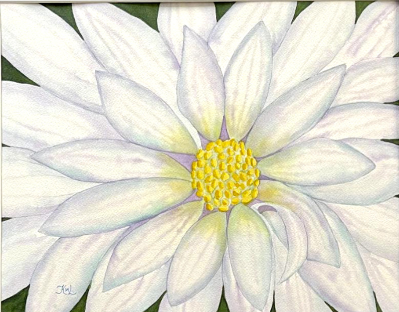 PAINTING WATERCOLOR 11X14 MAT 16X20 FLOWER DAISY WHITE BLUE PURPLE ORIGINAL ART
