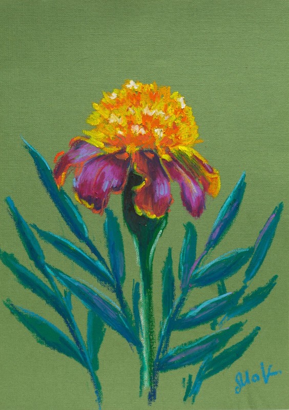 Marigold Painting Floral Original Wall Art Flower Oil Pastel Artwork Botanical