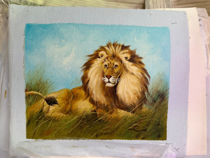 Vintage Male Lion Wildlife Portrait Scenic Decorative Oil Painting Art