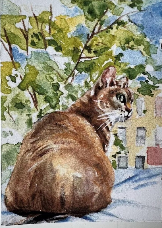 NEW!! ACEO CAT Artist Card Print Of Original Signed Watercolor gallery
