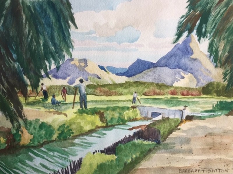 BARBARA F SUTTON AUSTRALIAN WC «CROPPING THE RICE FIELDS MALAYSIA» C 1985