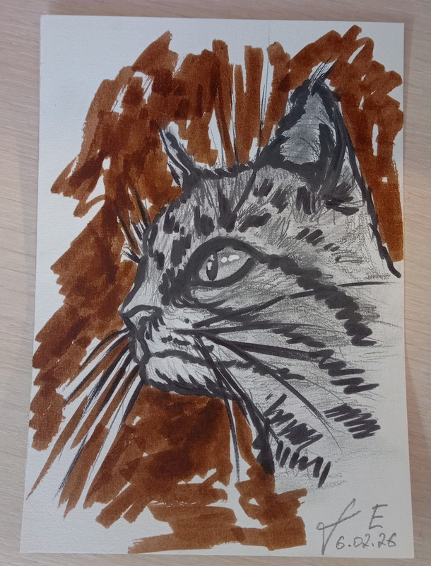 Original Drawing Cat Pencil Animals Drawing Graphics Art Sketch Illustration 8х6