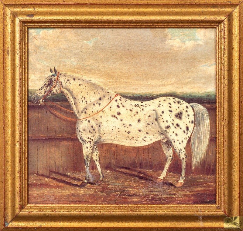 Large Early 19th Century Portrait Of An Appaloosa Horse In A Yard by H MILNES