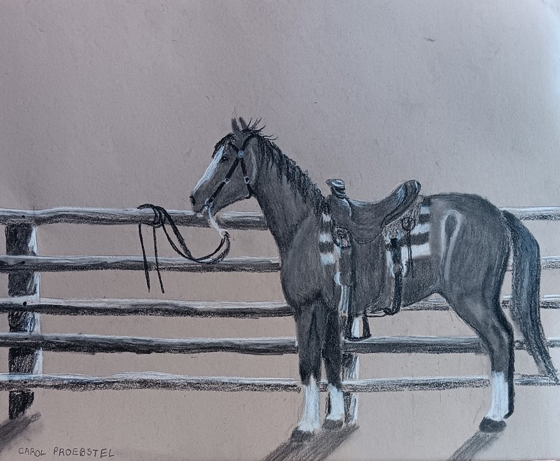 original drawing painting charcoal chalk horse saddled Carol Proebstel
