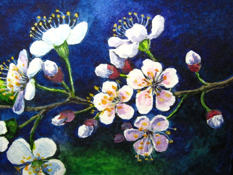 Watercolor Painting Spring Flowering Tree Branch Cherry Blossom Sakura ACEO –