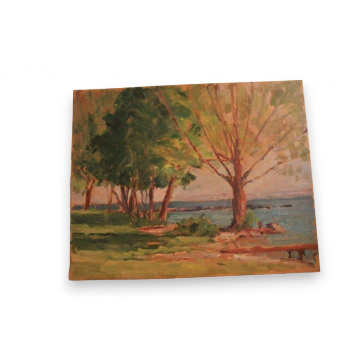 Swiss Paul Sokoloff (1873–1968) Original Oil on Panel “Bord du Lac à Mies” Lake