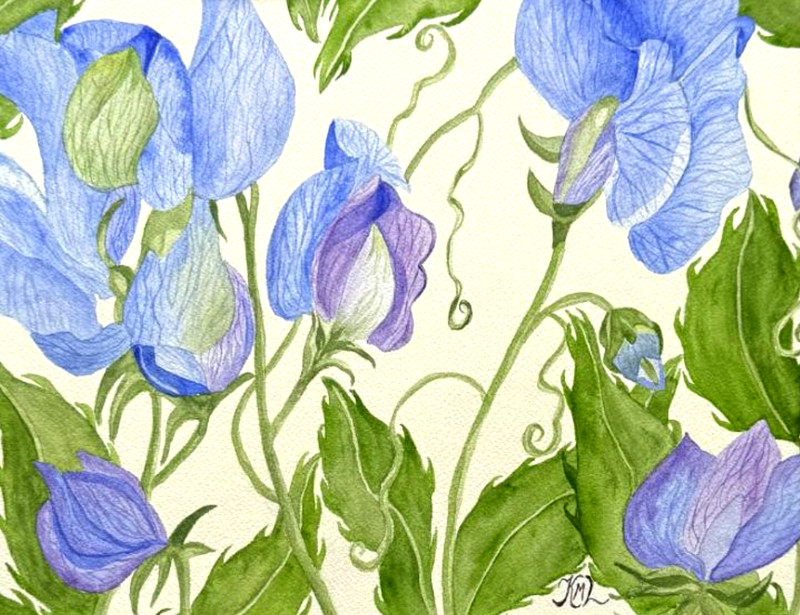 PAINTING WATERCOLOR 11X14 BLACK MAT 16X20 FLOWER SWEET PEA PURPLE LAVENDER BLUE