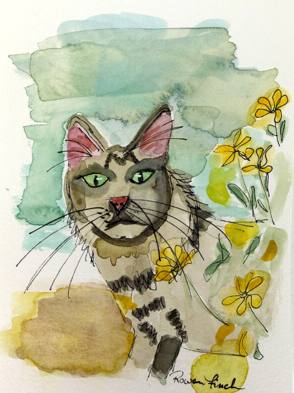 Cat Original Ink & Watercolor Painting 5×7 Cat with Flowers OOAK Art «Not Yet»