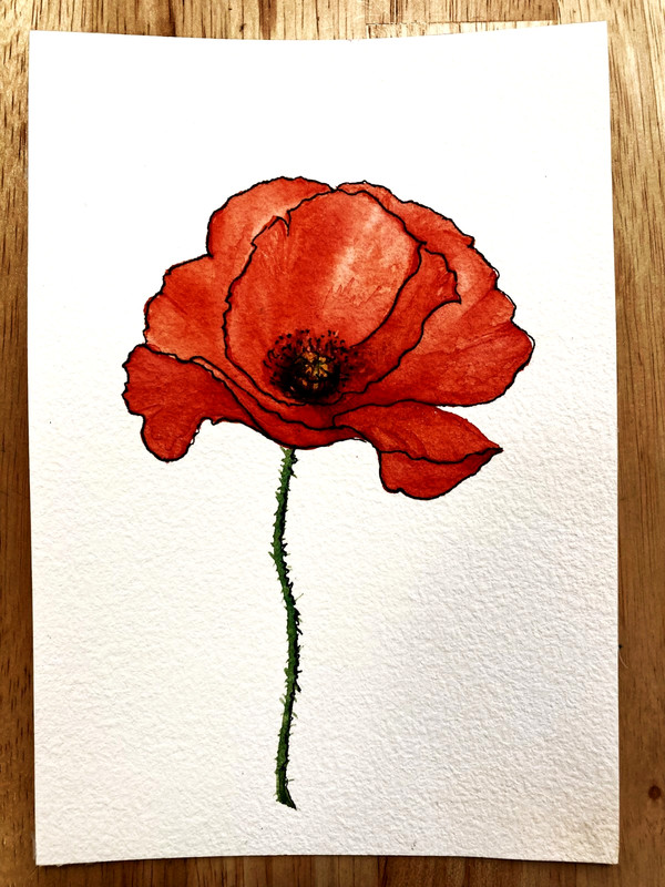 Poppy Flower Abstract Watercolor Original Art Painting Small
