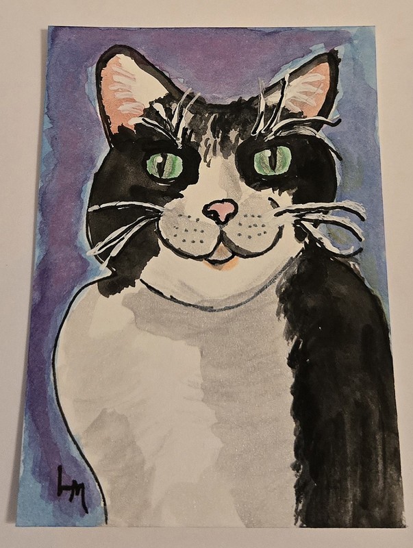 ACEO Original Painting Black White Tuxedo Cat OOAK by Backyard Jungle Art