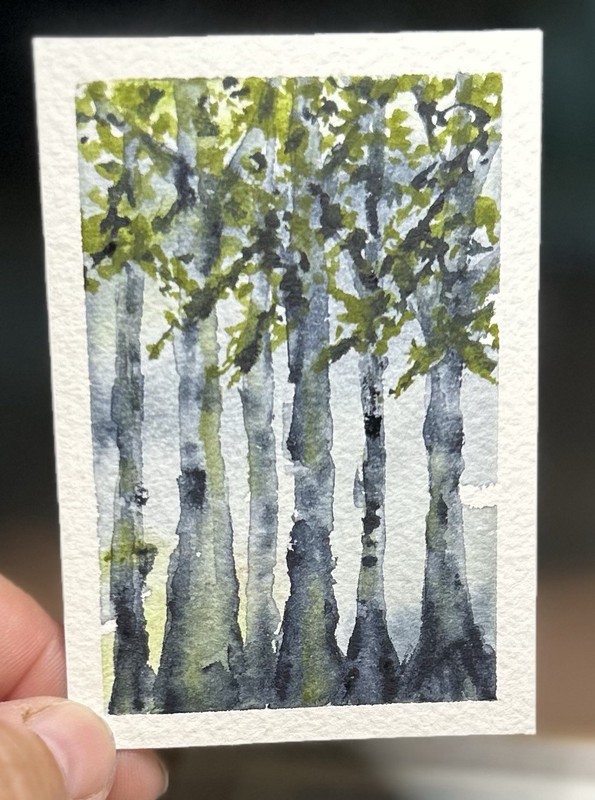 ACEO Ghostly Birch Trees Abstract Watercolor Landscape Painting By Sasha Lehto