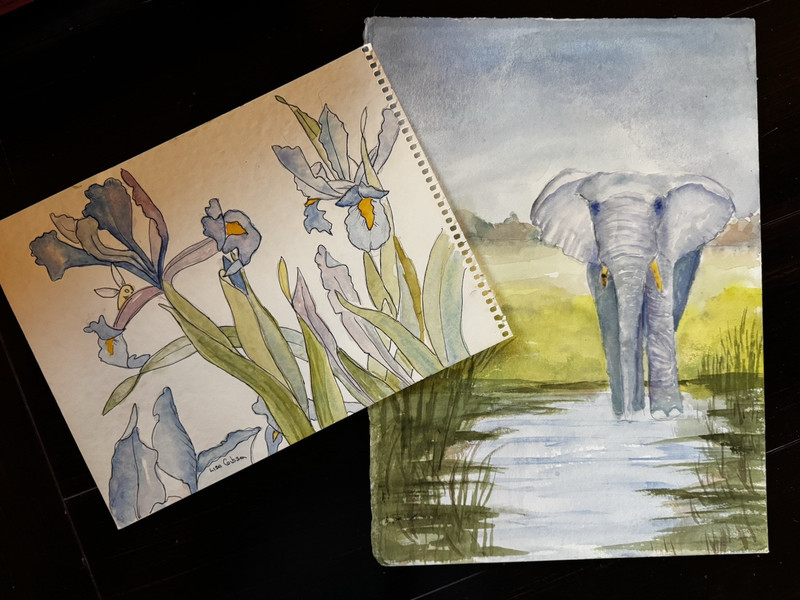 Lisa Gibson set 2 Watercolor Painting ELEPHANT In Marsh 11×15 & Blue Lillies 12