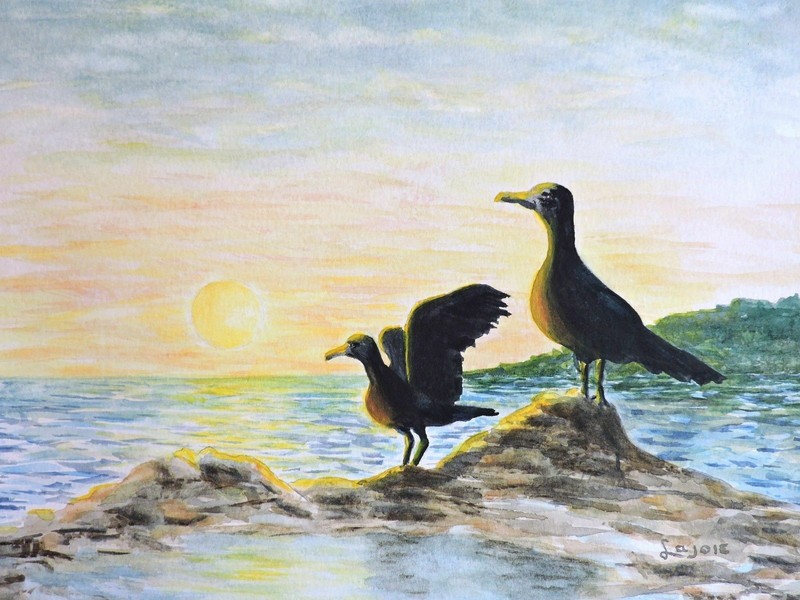 Seagulls at Sunset, Original Watercolor Painting (8 1/2×11 1/2), 11×14 Green Mat