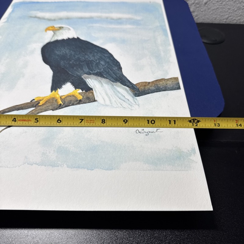 Original Watercolor Artwork Bald Eagle 18"x12" Signed gallery