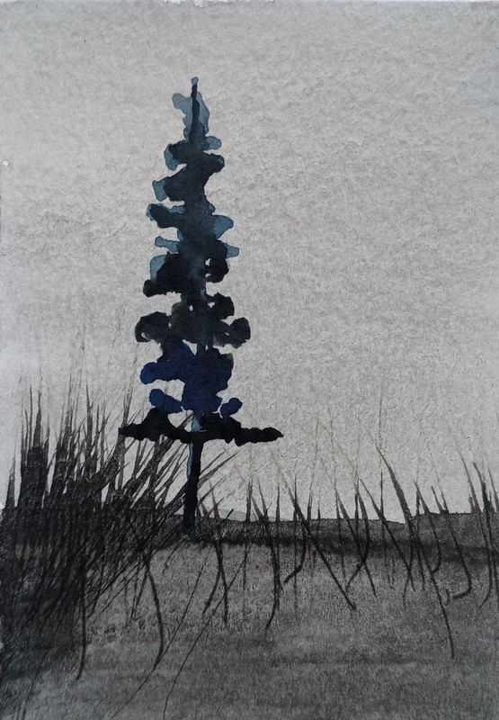 Original ACEO Monochromatic Watercolor Painting Pine Tree Dark