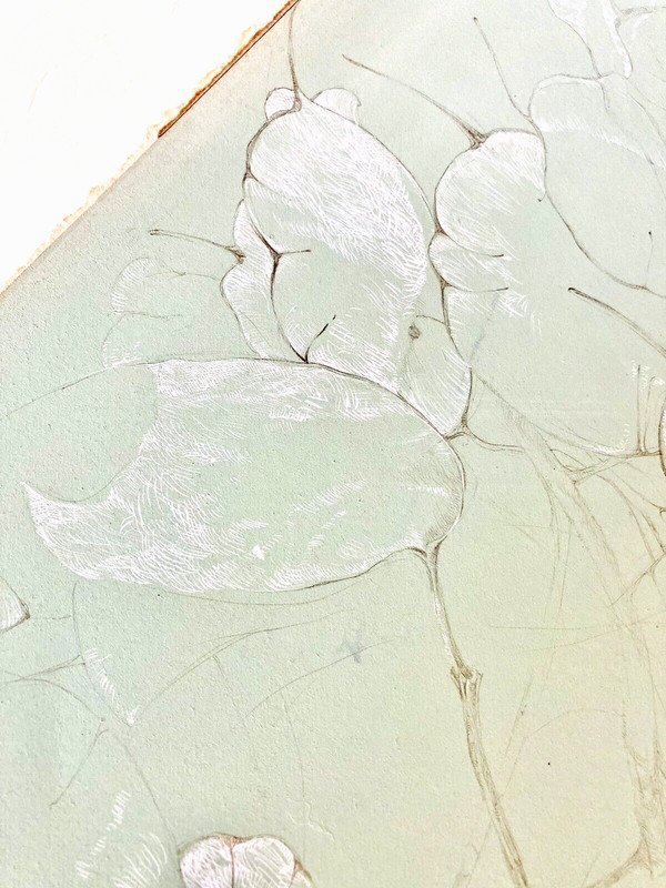 Lunaria or Lotus Leaf Study 21″ Soft Green Botanical Drawing 1970s Pond Plants