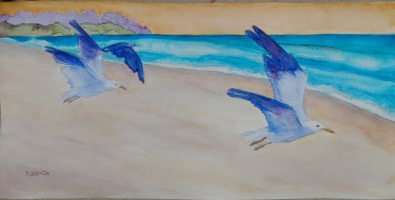 «Fly By» Original Watercolor RAMfish Artist Sea Gull San Clemente Beach 16″ X 8″