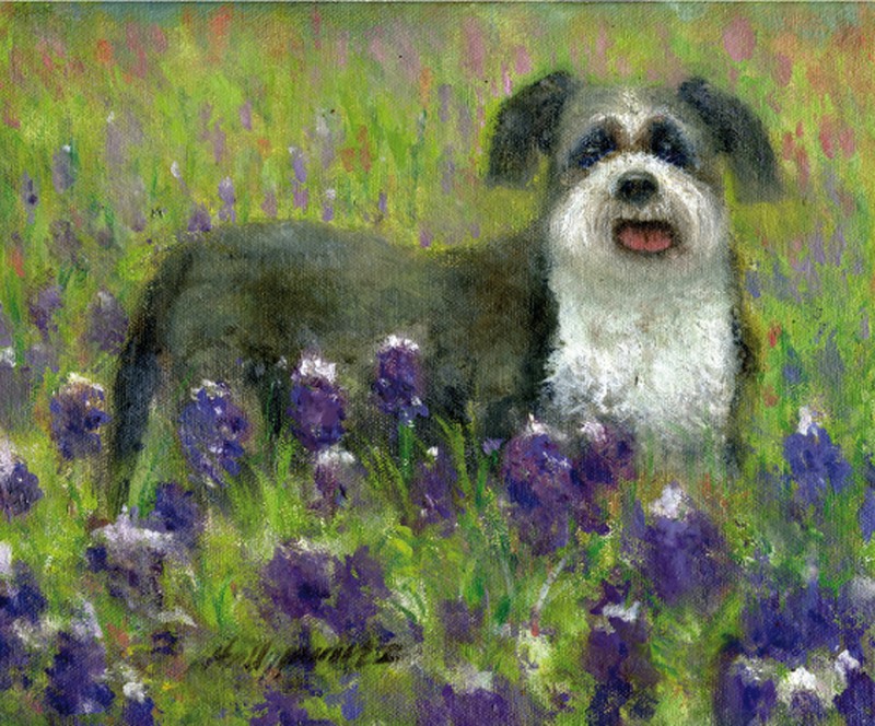 Shih Tzu Dog with Wild Flowers 8 x10 in. Original Oil on canvas HALL GROAT II