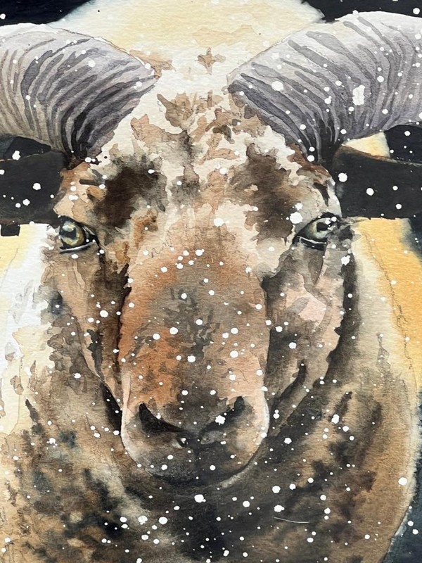 Original Watercolor Painting Ram Sheep Animal Aries Zodiac by Karen Kirk Shields gallery