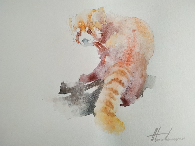 Red panda, Animal, Watercolor artwork, Handmade, Original painting on paper
