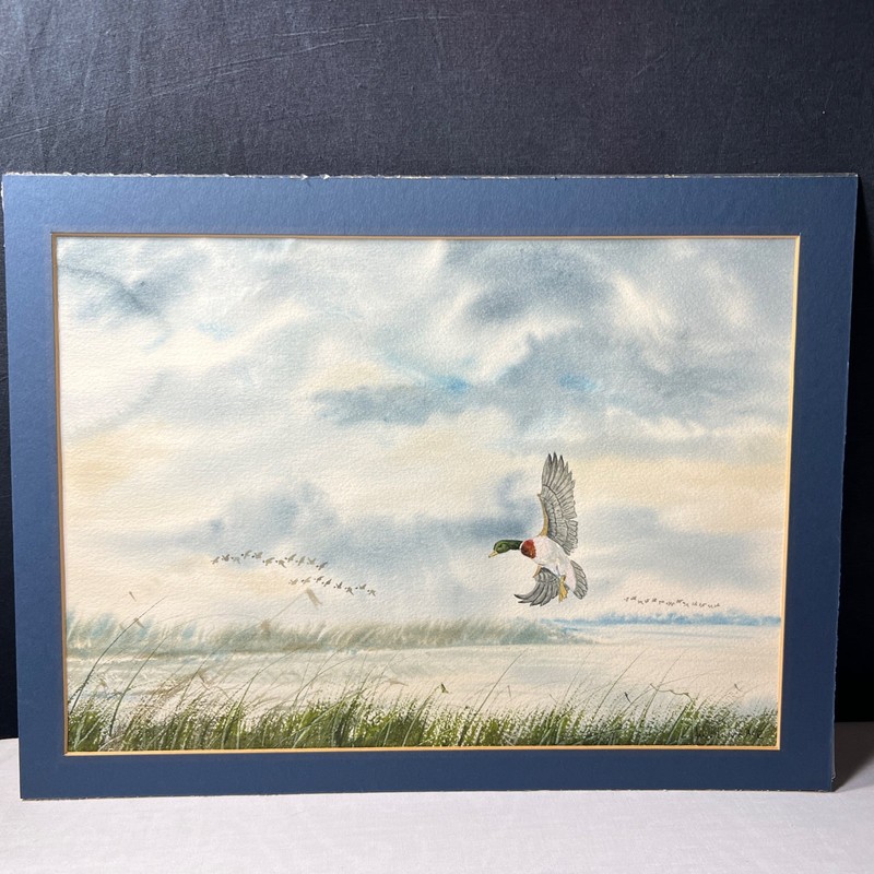 W.M. Weber Signed Watercolor Painting Of Mallard Duck Marsh Landing