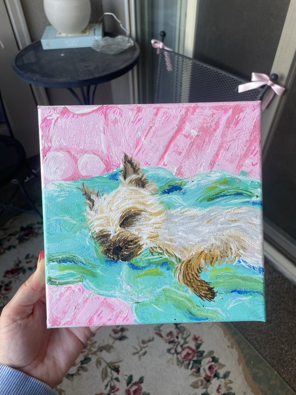 Custom Pet Portraits Colorful Cartoon Style Small Canvas Painting Acrylic gallery