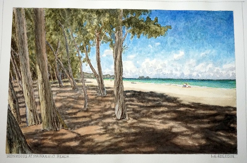 Hawaii Watercolor Painting Ironwoods at Waimanalo Beach by Larry Segedin #161