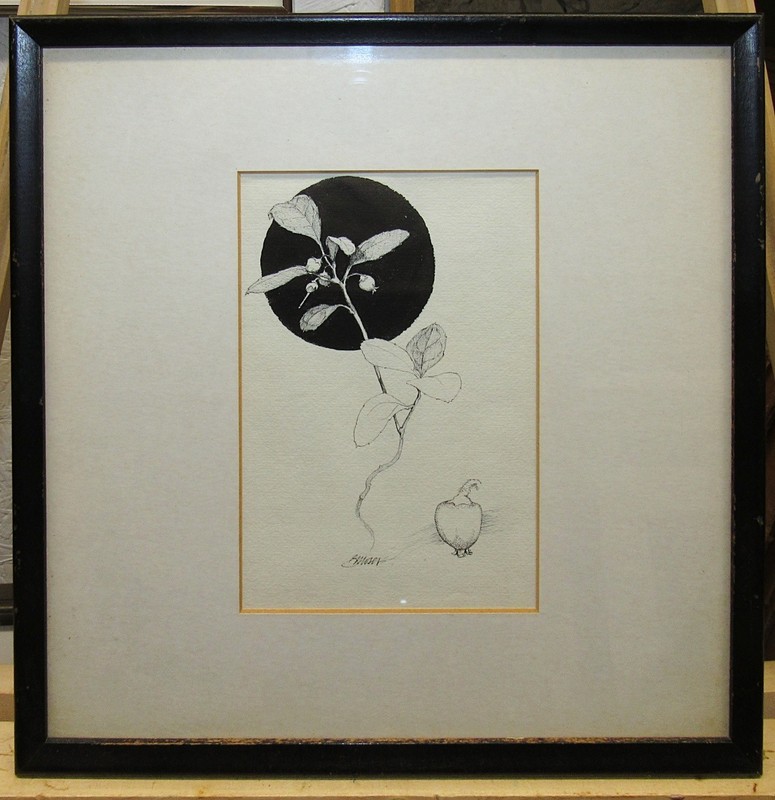 Barry Moser Original ’79 Published Flower Illustration «Mayflower» Listed Artist