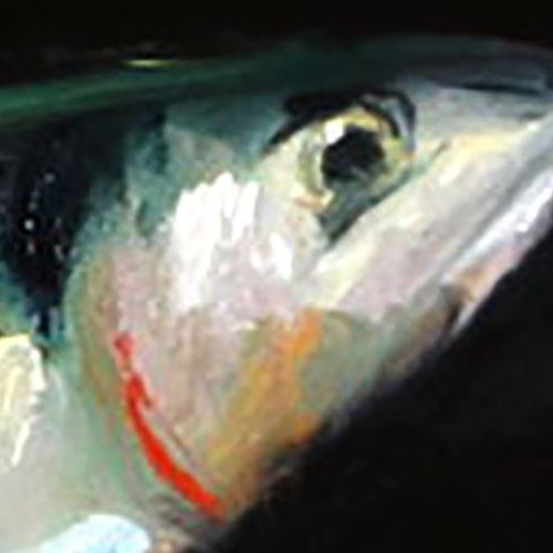 fish stylish modern art Oil painting UKRAINE DEMENKO NATALIA 8X10 gallery