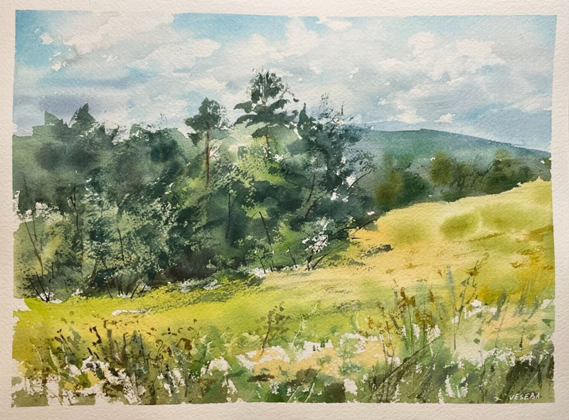 Original Watercolor Painting Landscape Nature Flowers Countryside – 9×12 inches