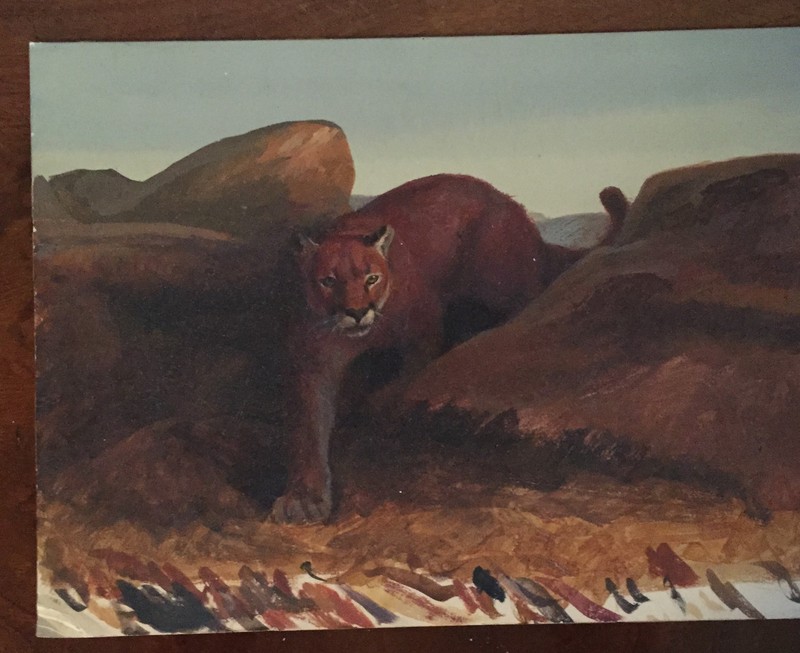Antique 19th c. Oil Painting on Board American Mountain Lion Landscape