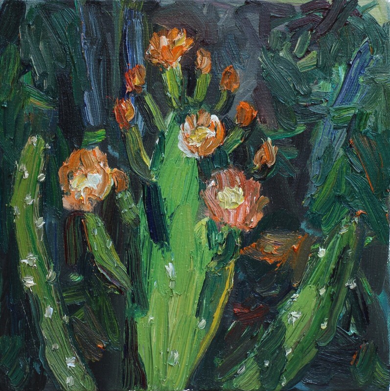 Cactus blooming Oil on Canvas Plein Air Impressionism 12″ x 12″ John Kilduff