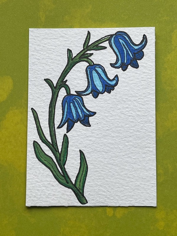 ACEO 2.5×3.5″ Original Botanical «Blue Bells» Acrylic 2026 K Fowler Art