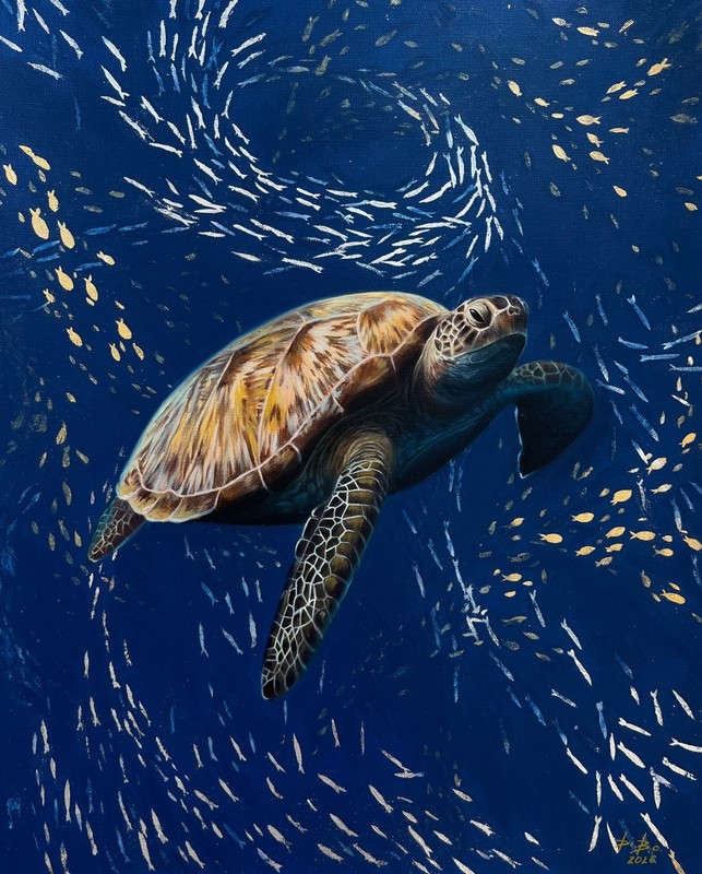 Original oil painting turtle, golden fish 32,5* 41,5 cm , OOAK , Hand painting