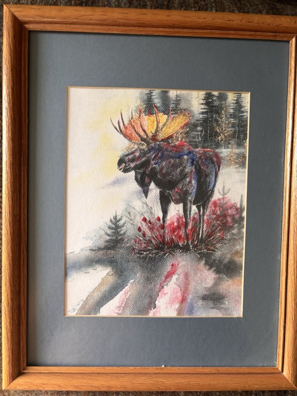 Bull Moose painting Print Watercolor Painting On 120 Lb Paper Framed
