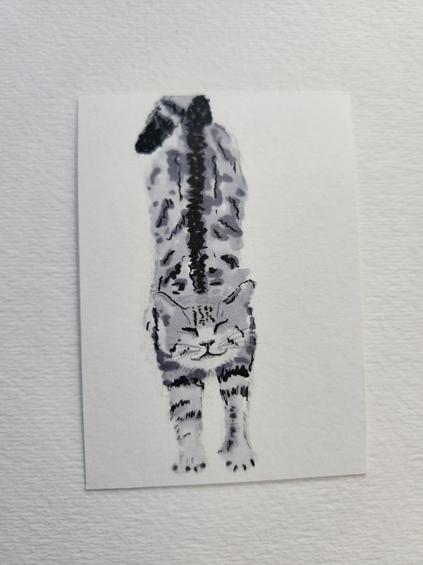 ACEO Original – Greyscale Cat – Mixed Media Drawing «Big Stretch»