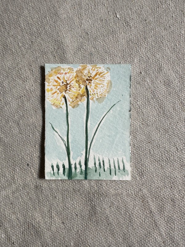 ACEO Original Watercolor Dandelion Flower Art by Bri Sander 3.5 x 2.5” OOAK ATC gallery