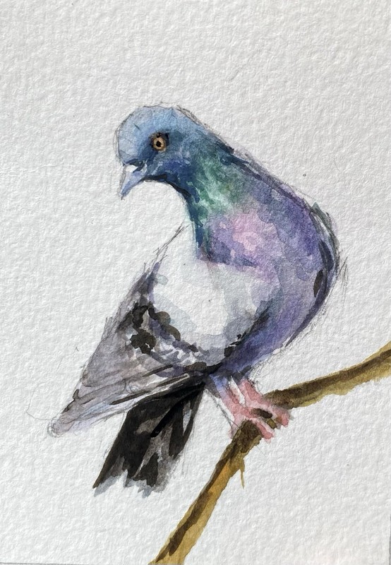 ACEO 100% Hand Painted Original Mixed Media Painting Art Bird