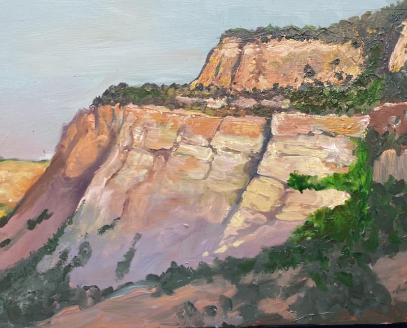 Signed Original AZ Cliff Study15 3/4 X 22 1/2 Acrylic On Birch Taylor Blackwell