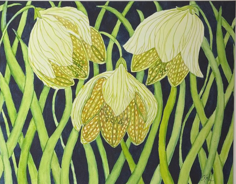 PAINTING WATERCOLOR ORIGINAL ART FLOWER FRITILLARIA YELLOW GREEN 11X14 MAT 16X20