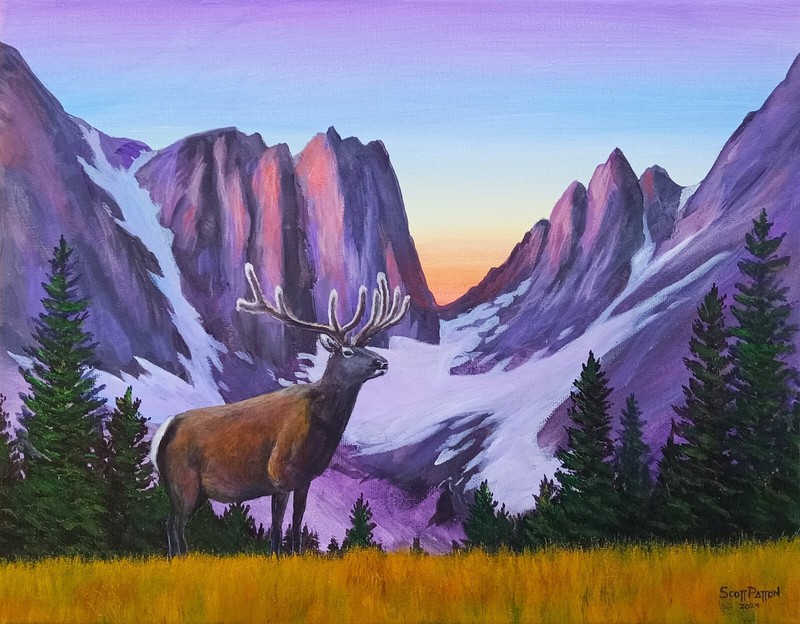 Scott Patton Art: «Rocky Mountain Majesty» Original Western Elk Painting