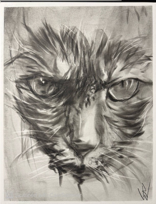 Tabby Cat Face Portrait 11×14 Pastel Drawing Expressionist Art